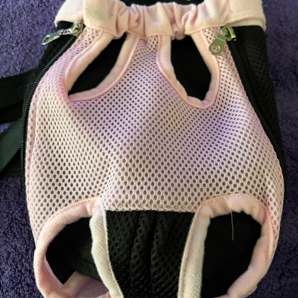 Dog back pack - Picture 3 of 3
